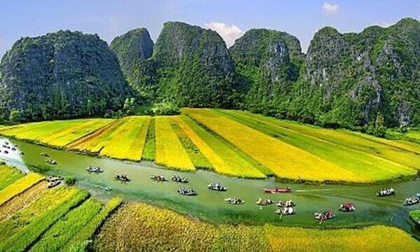Tam Coc Cozy Ninh Binh