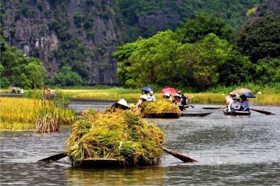 Tam Coc Cozy